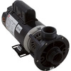 Pump WW E-Series 1.5SPL US Motor 115v 2-Spd48fr1-1/2" 3420610-15HZN