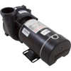 Pump WW Exec 1.0SPL Century 115v 1-Spd 48fr 2"