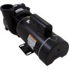 Pump WW Exec 3.0SPL Century 230v 2-Spd 48fr 2"
