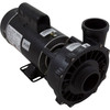 Pump WW Exec 3.0SPL Century 230v 2-Spd 48fr 2" 3421221-1AHZW