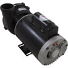 Pump WW Exec 3.0hp US Motor 230v 2-Spd 56fr 2"