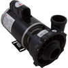 Pump WW Exec 3.0hp US Motor 230v 2-Spd 56fr 2" 3721221-1DHZN