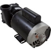 Pump WW EX2 3.0hp Century 230v 2-Spd 2" 48/56fr