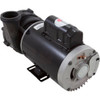 Pump Aqua Flo XP2e 4.0hp US Motor 230v 1-Spd 56fr 2"