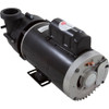 Pump BWG Vico Ultimax 4.0hp USMotor 230v 2-Spd 56fr 2"