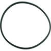 O-Ring Pentair StaRite DuraGlas II Insert Pre 1998 O-113