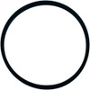 Gasket Pentair LT/JS 4" Trap Trap Lid 4-3/8"ID 4-7/8"OD