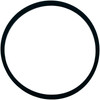 Gasket Pentair LT/JS 4" Trap Trap Lid 4-3/8"ID 4-7/8"OD 17150-0007