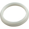 Wear Ring Pentair American Products UltraFlow Generic 39006900
