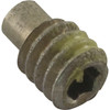Screw Pentair PacFab Hydro 1/4-20 x 3/8" Shaft Extension 354256