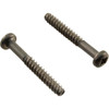 Screw Hayward Tristar/EcoStar C Diffuser Quantity 2