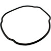 O-Ring Hayward Tristar/EcoStar C Housing SPX3200T