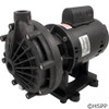 Booster Pump Pentair Letro 0.75 HP 115V 230V OEM at a different angle