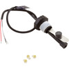 Flow Switch Pentair IChlor 1/2" Male Pipe Thread 523100