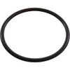 O-Ring Zodiac Jandy AquaPure Ei Locking Collar