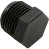 Plug Pentair Rainbow Automatic Feeder 320 1/2 NPT R172134