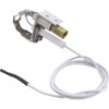 Pilot Pentair Minimax/Minimax Plus/PowerMax/Tropic Isle LP