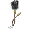 Pressure Switch Raypak 53A with Tubing 003651F