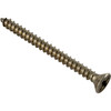 Skimmer Screw Waterway 12 x 2-1/2" 819-9000