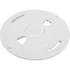 Skimmer Lid Waterway Renegade 9-7/8"od White 540-6470WW