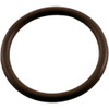 O-Ring Waterway Power Gunite Adapter Viton