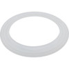 Gasket "L" Balboa Water Group/HAI VSR