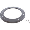 Light Face Ring Zodiac Pool Plastic Gray R0450804