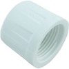 Cap Lasco 3/4" Female Pipe Thread