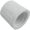 Cap Lasco 3/4" Female Pipe Thread 448-007