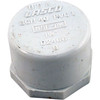 Cap Lasco 1-1/4" Female Pipe Thread 448-012