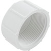 Cap Lasco 1-1/2" Female Pipe Thread 448-015