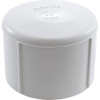 Cap Lasco 2-1/2" Female Pipe Thread