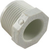 Plug Lasco 1" Male Pipe Thread