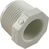 Plug Lasco 1" Male Pipe Thread 450-010