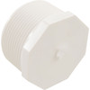 Plug Lasco 2-1/2" Male Pipe Thread 450-025