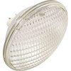 Repl Bulb Hayward Sealed Beam115v300WPAR56WFL300Generic 65230