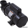 Pump Balboa Vico Ultimax 1.5 HP 115V 230V 1-Spd 48Fr 2"Side  at a different angle again.
