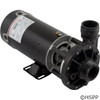 Pump Aqua Flo Fmhp 0.5 HP 115V 2-Spd 48Fr 1-1/2"  at a different angle again.