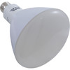 Replacement Bulb ProLED R40 12V 18W Dimmable 6503