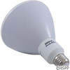 Replacement Bulb ProLED R40 12V 18W Dimmable