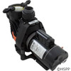 Pump Speck Easyfit Dyna-Pro/Glas 2 HP 115V 230V 2Spd 2"