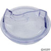 Trap Lid Pentair Starite Duraglas 6" Trap