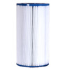 45-50 sq ft QCA Spas filter