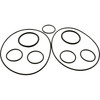 O-Ring Kit Zodiac Polaris Caretaker Valve 37024