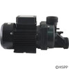 Pump Bath CMP Ninja 115V 1-1/2"Mbt 12.0A OEM at a different angle again.