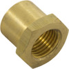 Insert Nut Anthony Apollo DE Filter Shaft 0.5" Brass