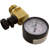 Pressure Gauge/Air Relief Pentair FNS Plus Generic V20-225