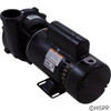 Pump WW Exec 1.5 HP 115V 1-Spd 48Fr 2" OEM at a different angle again.