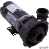 Pump WW Exec 1.5 HP 230V 2-Spd 48Fr 2-1/2" X 2" OEM at a different angle again.