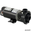 Pump WW E-Series 1.5 HP 115V 2-Spd 48Fr 1-1/2" OEM at a different angle